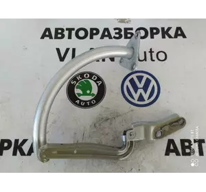Петля кришки багажника (права)	3C5827302B	VW Б 6 Європа