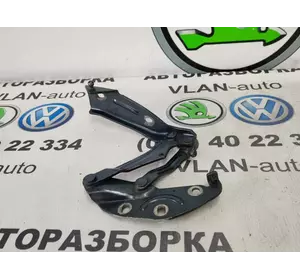 3D0823302D	Петля капота (права)	VW Фаєтон